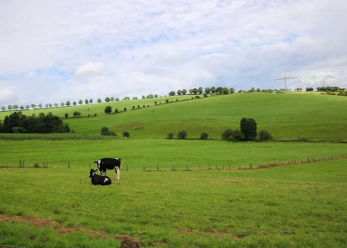 Eifelnest * Scheid (Vulkaneifel)